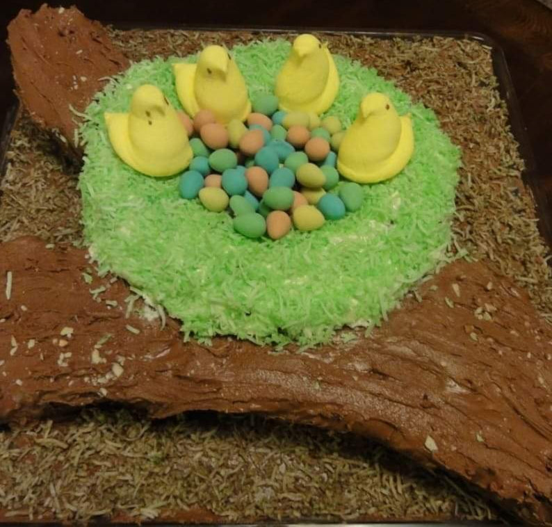 Chocolate cake with Spring Frosting